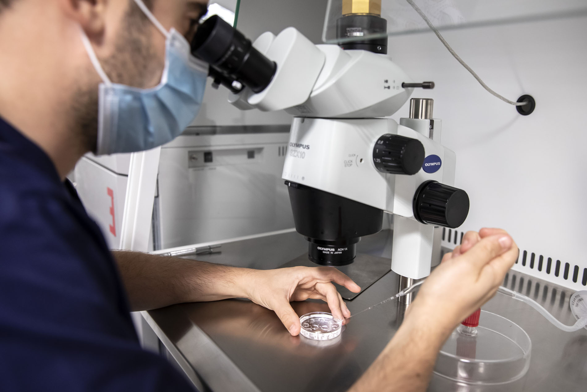 FecundaciónInVitro_EquipoJuanaCrespo