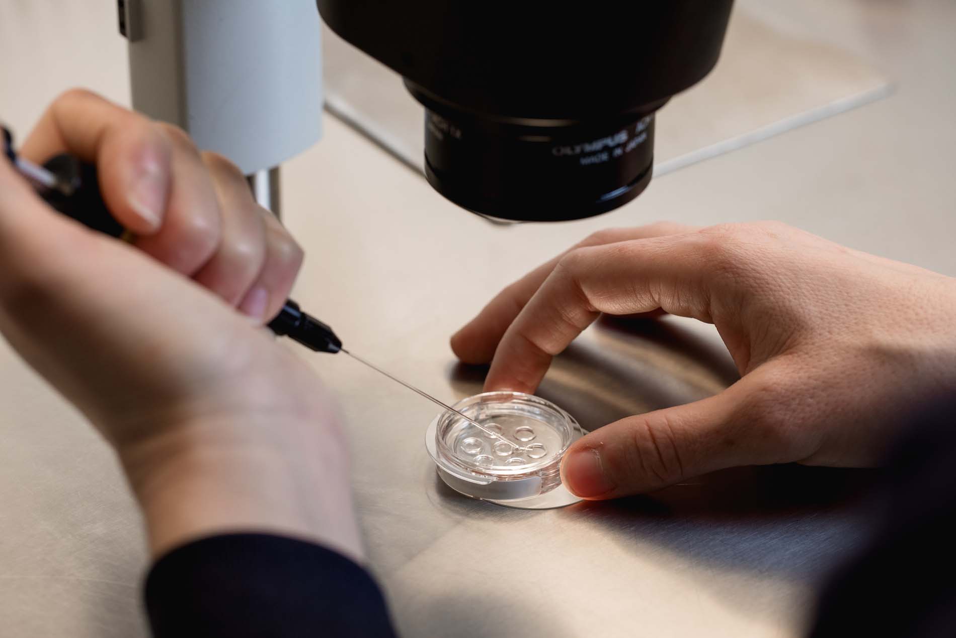 Laboratorio FIV Equipo Juana Crespo012_Cultivo embrionario