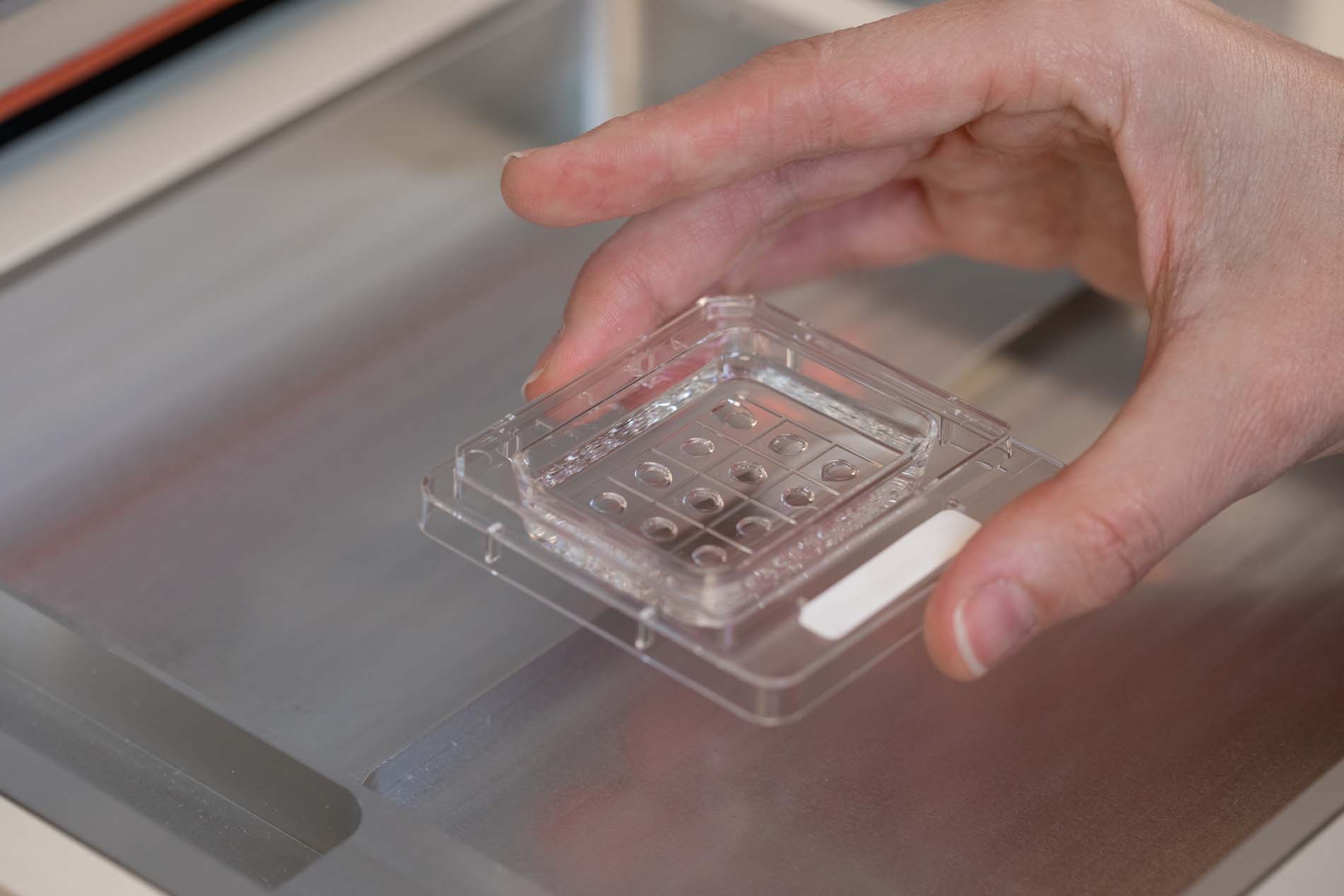 Laboratorio FIV Equipo Juana Crespo017_cultivo embrionario